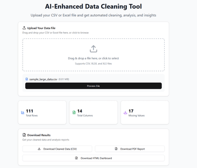 AI-Enhanced Data Cleaning & Analytics Tool